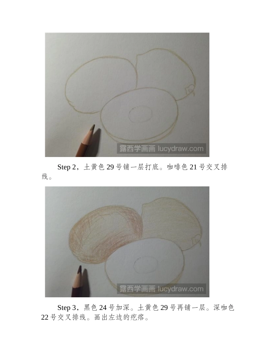 猕猴桃彩铅画教程彩铅画教程_第2页
