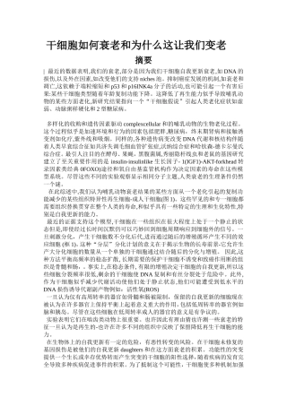 干细胞文献翻译