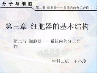 说课：细胞器——系统内的分工合作