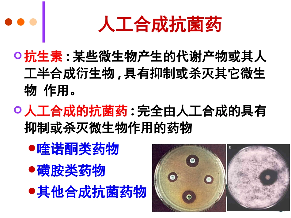 yl人工合成抗菌药_第2页