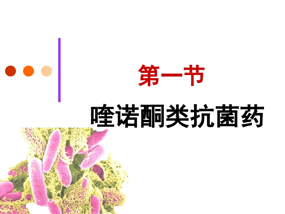yl人工合成抗菌药_第3页