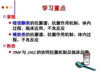 yl人工合成抗菌药