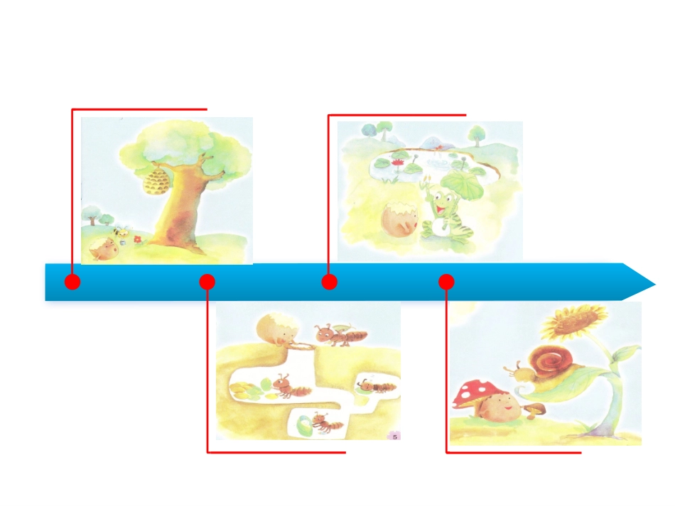 中班语言小蛋壳活动设计_第3页