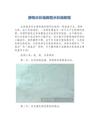 静物水彩画教程水彩画教程