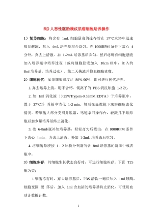 RD细胞复苏、传代、冻存