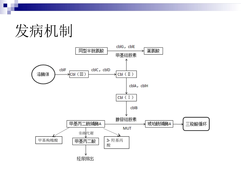 甲基丙二酸血症研究_第3页