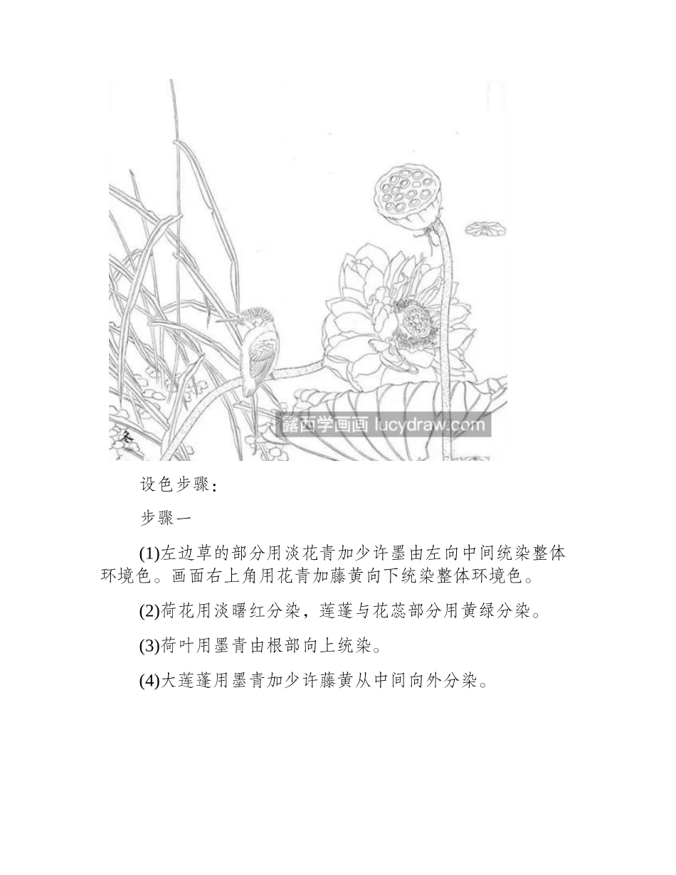 莲蓬翠鸟怎么画_详细的绘画步骤有哪些_工笔画教程_第2页