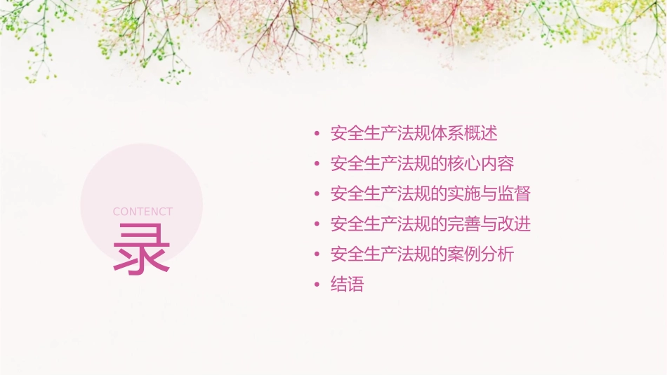 安全生产法规体系通用课件_第2页