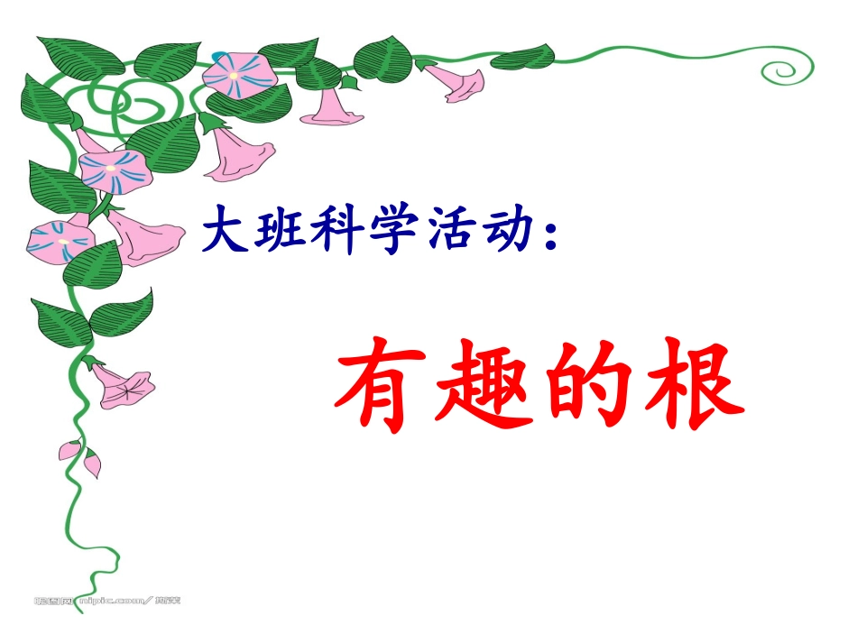 课件：有趣的根_第1页