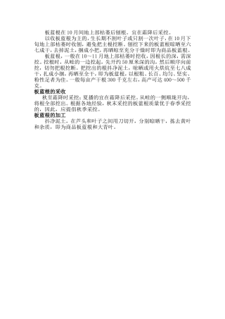 板蓝根的采收