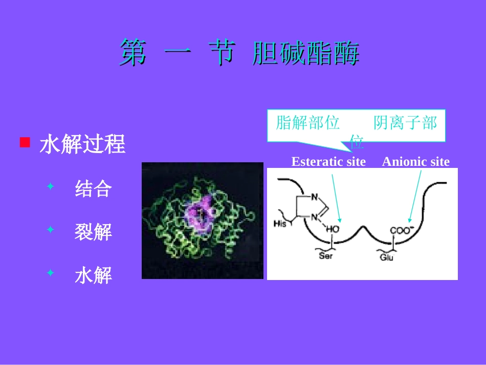 抗-胆-碱-酯-酶-药_第2页