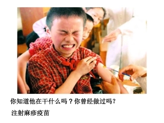 《免疫调节》课件