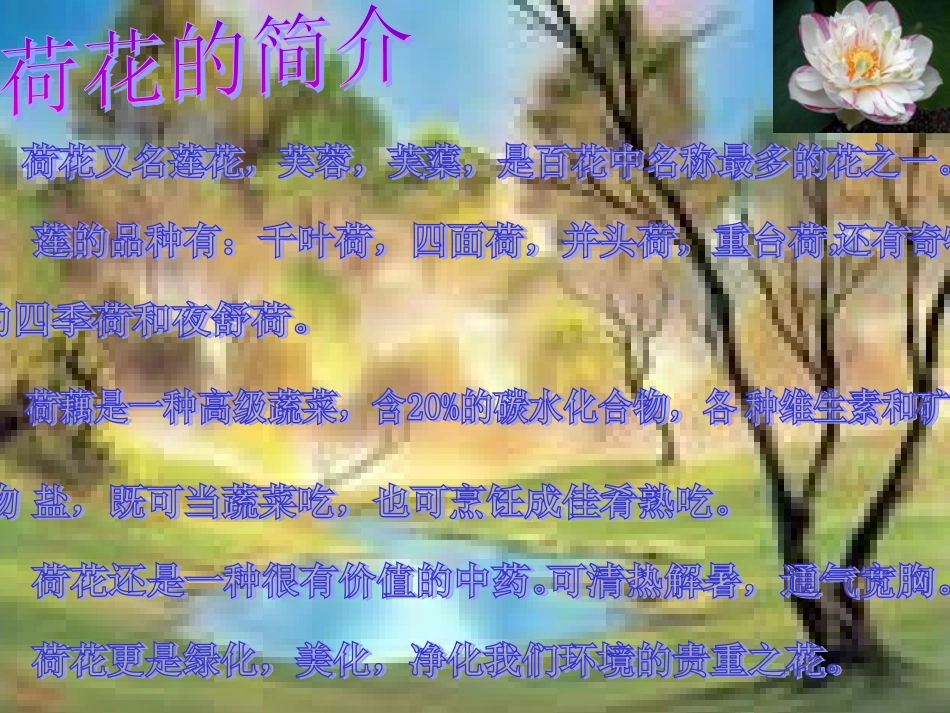 莲文化的魅力1_第3页