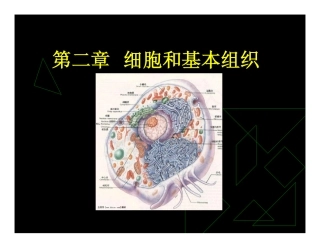 201002现代基础医学概论 第二章细胞