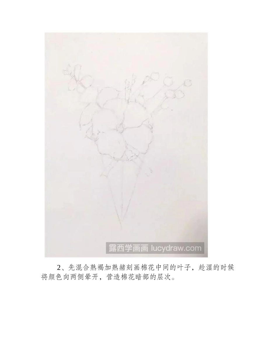 棉花的水彩画法是什么_梦幻唯美的棉花怎么画_水彩画教程_第2页