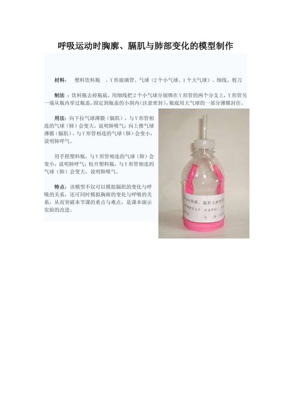 呼吸运动时胸廓、膈肌与肺部变化的模型制作_第1页