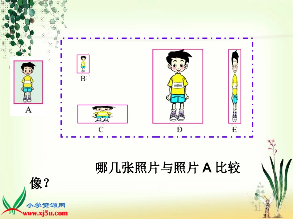 王艳《生活中的比》课件_第3页