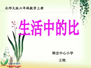 王艳《生活中的比》课件