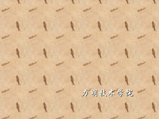 锁骨下静脉穿刺置管术修改后