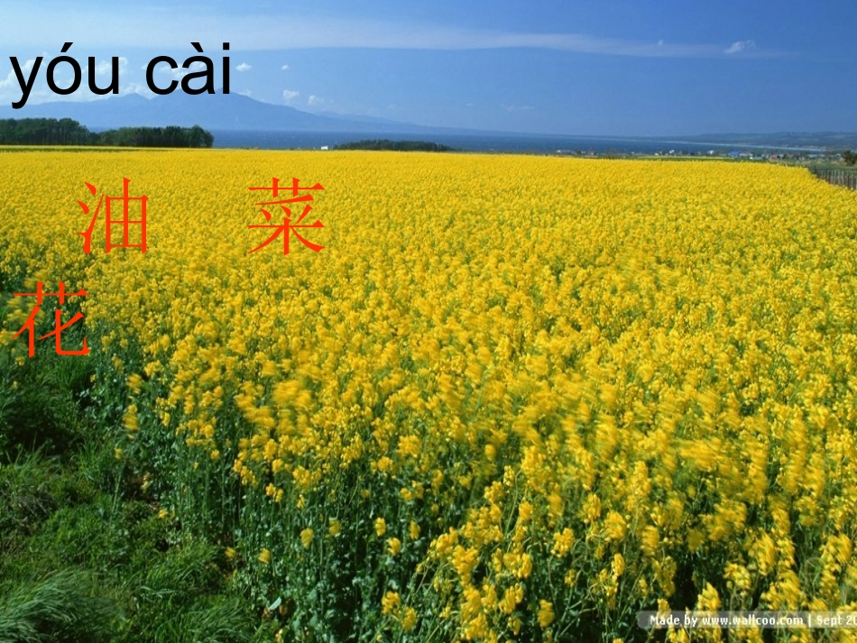 美丽的春天24_第2页