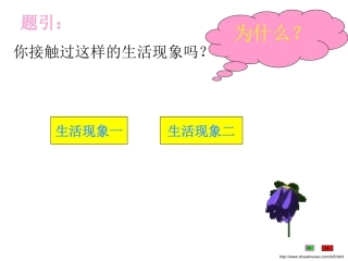 帅气的说说：生命必须要有裂缝..