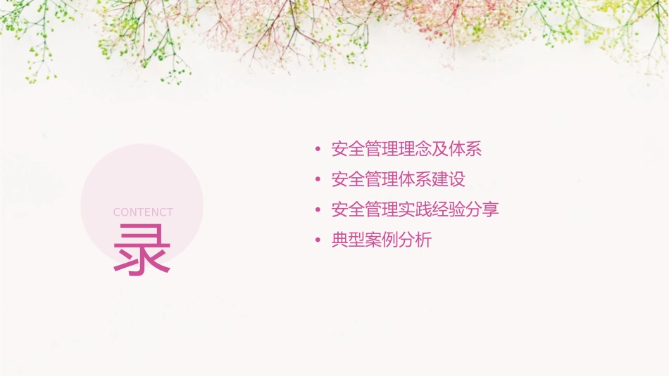 安全管理典型经验课件_第2页