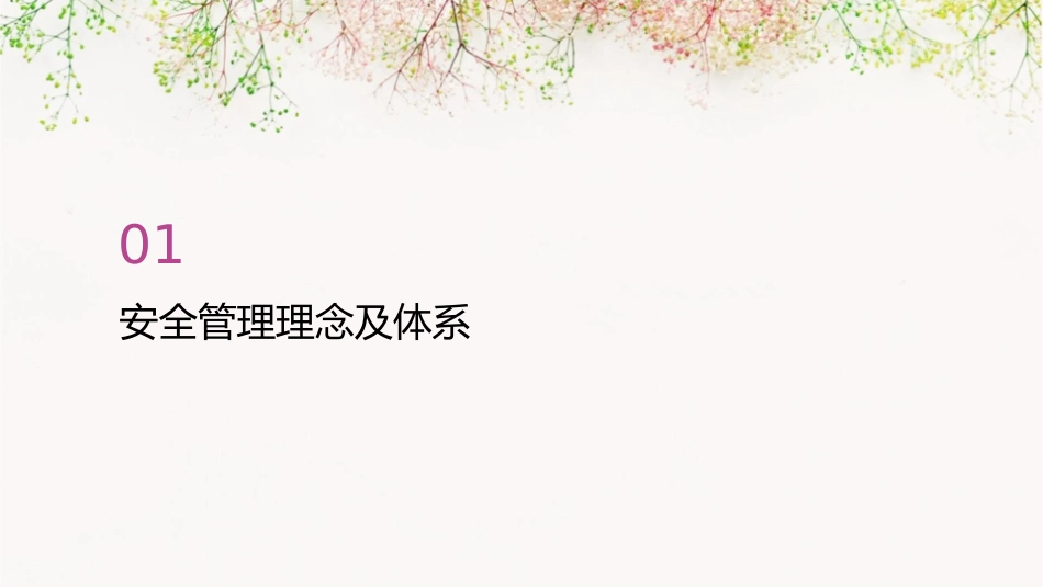 安全管理典型经验课件_第3页