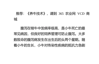 犊牛腹泻的病因及防治措施
