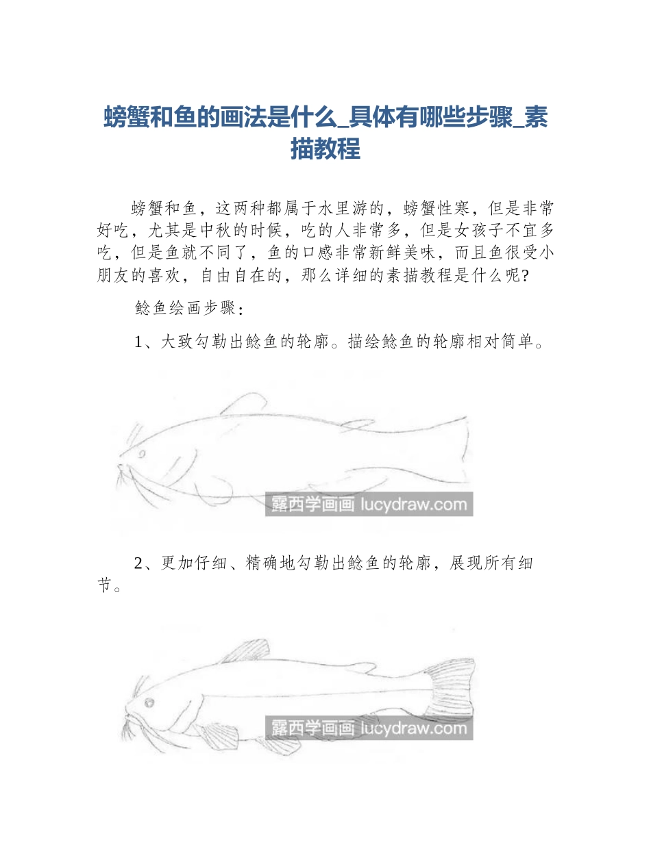 螃蟹和鱼的画法是什么_具体有哪些步骤_素描教程_第1页