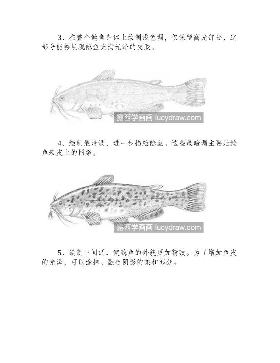 螃蟹和鱼的画法是什么_具体有哪些步骤_素描教程_第2页