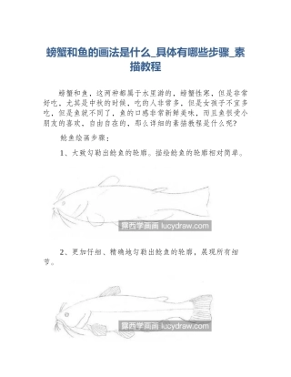 螃蟹和鱼的画法是什么_具体有哪些步骤_素描教程