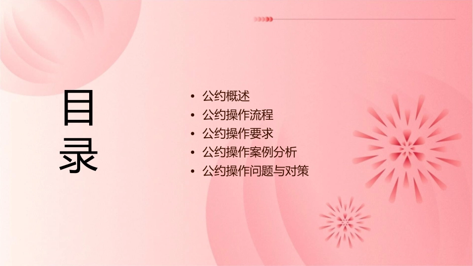 公约操作要求课件_第2页