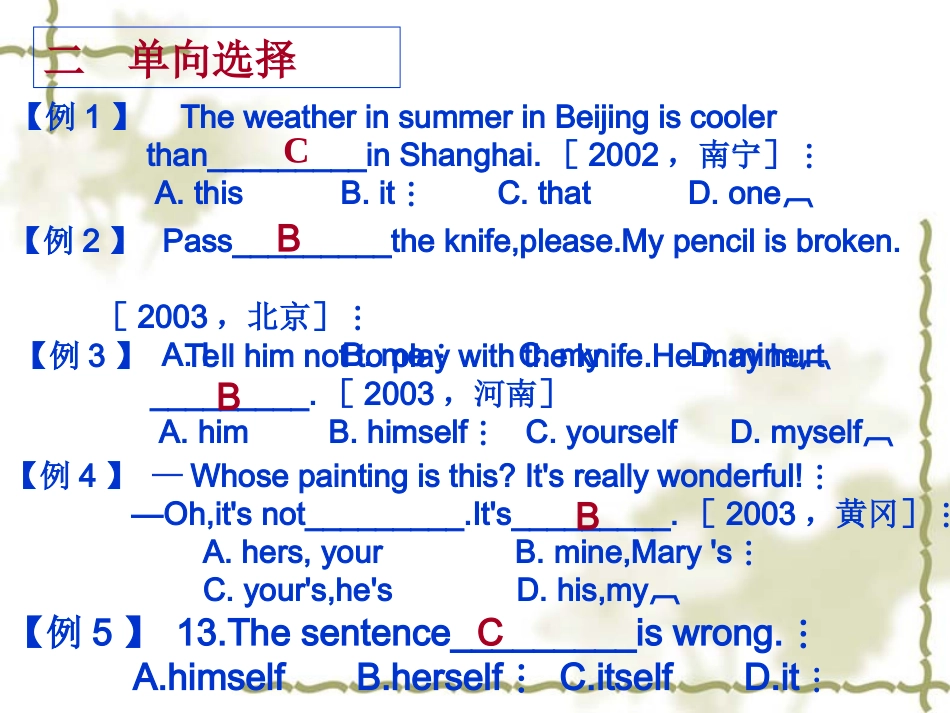 代词（第二课时）_第3页