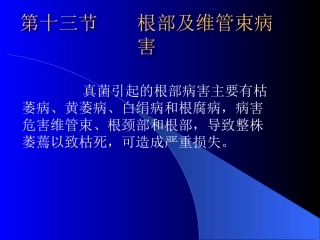 根部及维管束病害