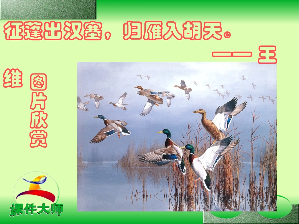 八年级《大雁归来》课件1_第2页