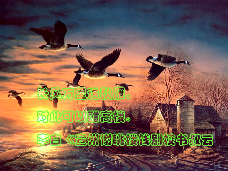 八年级《大雁归来》课件1_第3页