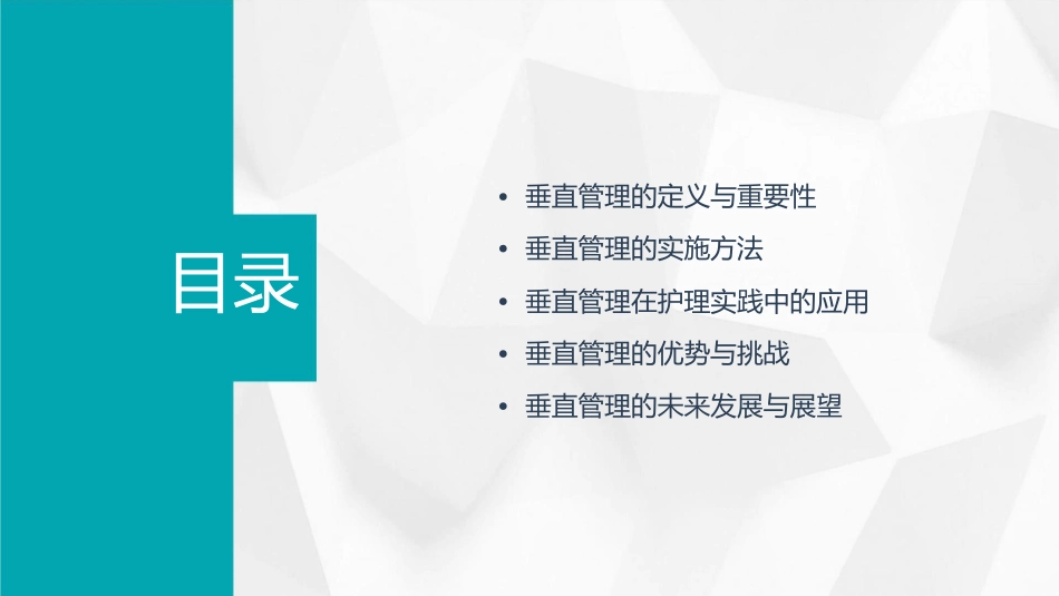 垂直管理在概述护理课件_第2页