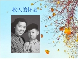 秋天的怀念第二课时