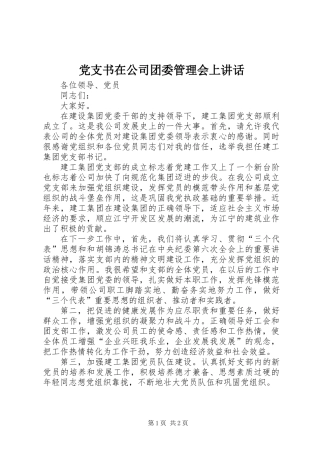 党支书在公司团委管理会上讲话