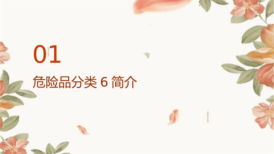 危险品分类6解读课件_第3页