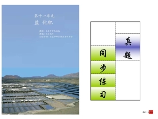 2014年中考一模复习·第十一单元《盐_化肥》真题练习(教师用)