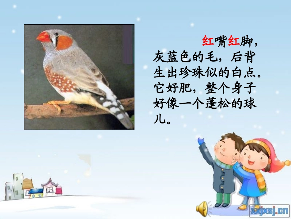 珍珠鸟 (2)_第2页