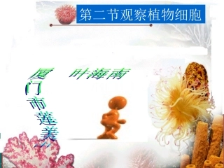 七上二单元一章二节观察植物细胞