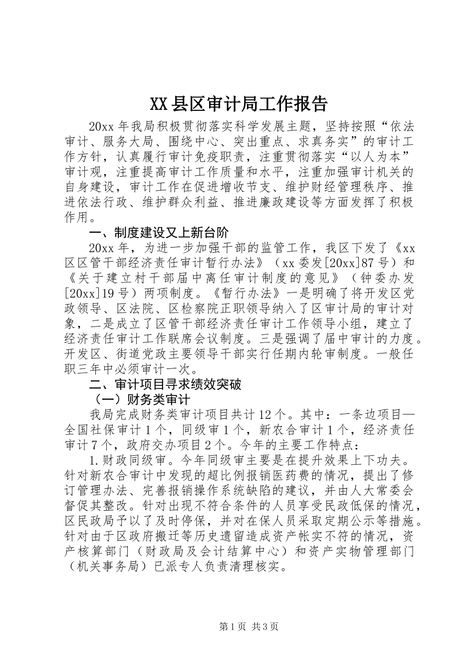 XX县区审计局工作报告_第1页