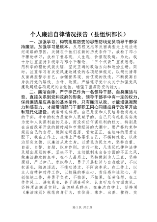 个人廉洁自律情况报告(县组织部长) (2)