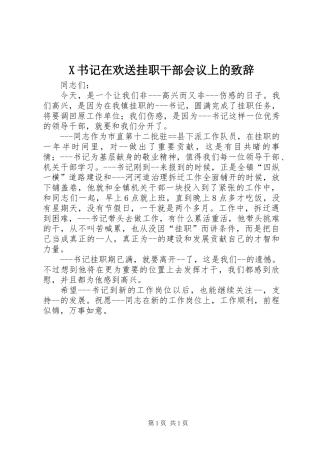 X书记在欢送挂职干部会议上的致辞