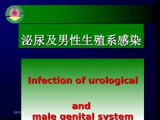 泌尿及男性生殖系感染详解