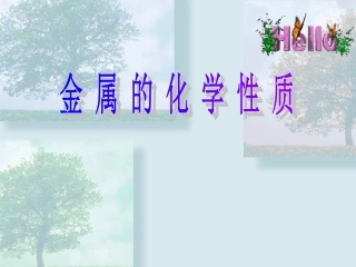 九年级化学金属的化学性质