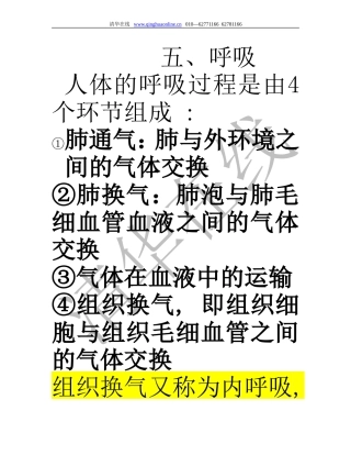 人体的呼吸过程是由4个环节组成