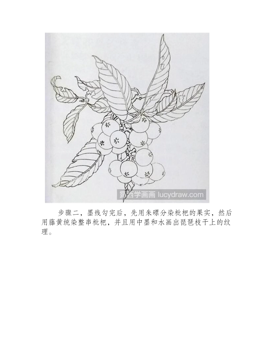 枇杷工笔画教程工笔画教程1_第2页
